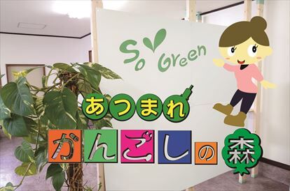あつまれ看護師の森パッケージ_R